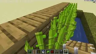 How To Make A Sugercane Farm In Minecraft