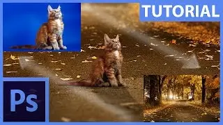 Základy fotomanipulace – maskování a retuše – Photoshop CZ tutorial