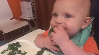 Blw - 6 month old eating spinach, zucchini flowers & mushrooms