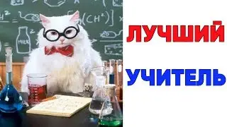 Лютые приколы, мемы. ЛУЧШИЙ УЧИТЕЛЬ . Лучшие мемы