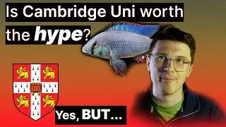 3 Months After Cambridge University: My Honest Thoughts | Unveiling The Secrets + Must You Apply?