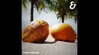 Pura Vida in Costa Rica 🦥  | Berge & Meer