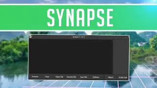 *FREE* SYNAPSE X EXPLOIT: SYNAPSE X REMAKE *2020* NO KEY REQUIRED!