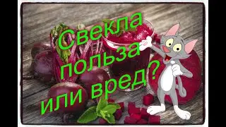 Свекла при гастрите и других заболеваниях. Польза свеклы и ее противопоказания
