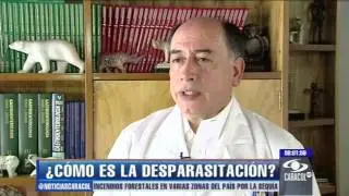 ¿Cómo se realizara una correcta desparasitación? - 9 de enero de 2013