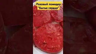 "Бычье сердце" розовый помидор в разрезе