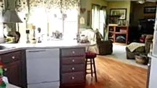 3165.mp4