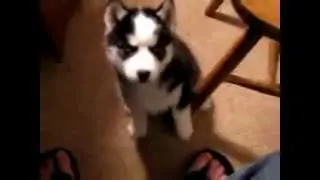 Милашка.