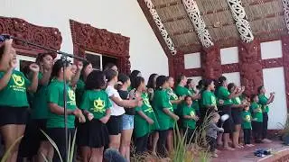 Te Wairoa Pā Haka Festival 2019
