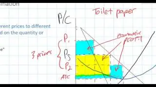 Second Degree Price Discrimniation