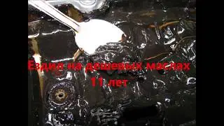 11 лет на дешевых маслах