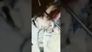 сколько вам лет было в2013году??