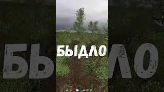 Быдло Сталкер. STALKER 