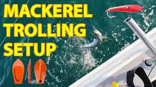 How I Troll for School Mackerel | Rigs, Lures & Technique