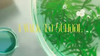 a walk to school