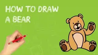 How to Draw a Bear Step by Step for Beginners