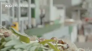 KG Systems  - Green Automation 2019