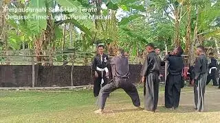 PSHT Oecusse 🇹🇱 Pusat Madiun - Test Kenaikan Sabuk Polos-Jambon-Hijo-Putih #PSHT-TL#Oecusse