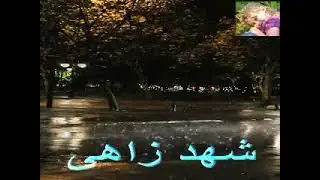 هاشم ميرغنى زاد أذاي ياصاحي واعتراني نحول