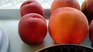 Последние плоды. Как меняется вкус и вес.