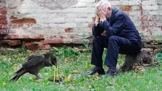 The old man burst into tears when he saw what the raven brought him as a token of gratitude