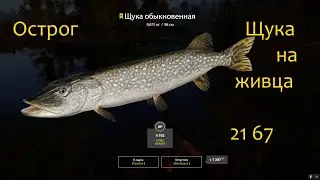 рр4! Острог. Щука на живца!