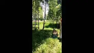 Пасека Климовых в прямом эфире!