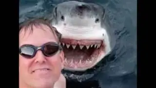 20+ photo bombs of all time | photobombs
