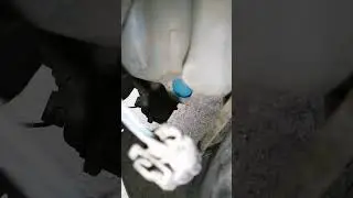 Мазда Демио DY3W 2003 г.в. Замена насоса бачка омывателя.
