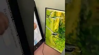 Обзор по качеству изображения 