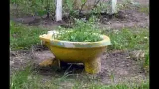 Умом Россию не понять,,,