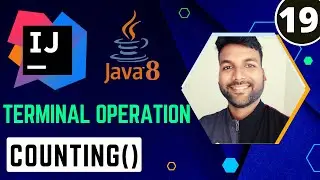 Java8 Stream counting() Method | Java8 Stream Tutorial