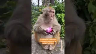 Токсичные отношения