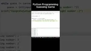Python Programming Guessing Game 