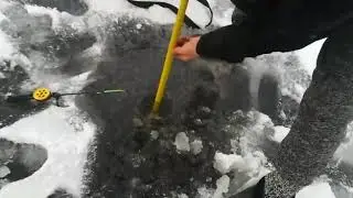 РУССКИЙ ЭХОЛОТ!))