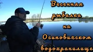 Весенняя рыбалка на Осиповичском водохранилище. Фидерная рыбалка в апреле в районе Смыка.