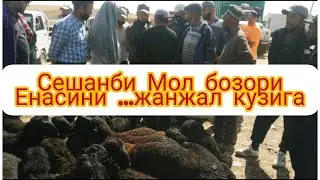 Кузилар НархиСешанби Мол бозори Нархлари ва Гумбулок Мол бозори Нархлари
