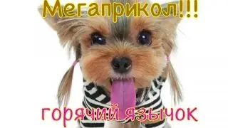 Мегаприкол!!! Горячий язычок)))