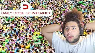 NightWolf Reacts to Daily Dose for 2078 seconds!