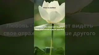 Факт о любви