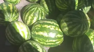 📢Эфир Субхи шумохам бахайру шоди бошад!