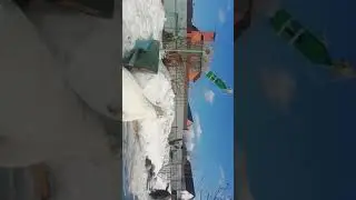 PIT BULLDOG MARS MāRS   GOD OF WAR