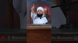 Hazrat Syedna Zainab r.a ne madine #islamzindabaad #freeplastine #islam #muharram