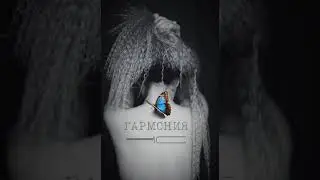 Гармония – Artik & Asti