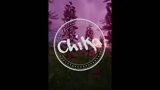 stereo love remake (dj chika)