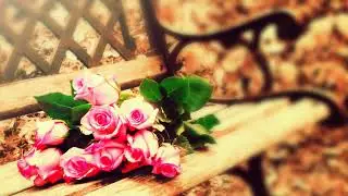 Soothing Romantic Saxophone Music  Calm Background Music for Stress Relief, Meditation, Study, Love