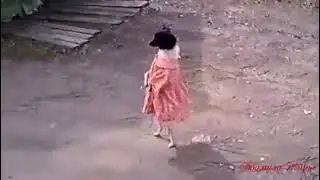 Собачки в одежде!)