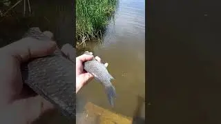 У кого также?