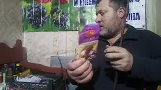 Болезни малины| Препараты от болезней