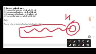 carbon and it's compound|| important questions answers||carbon and it's compound MCQ